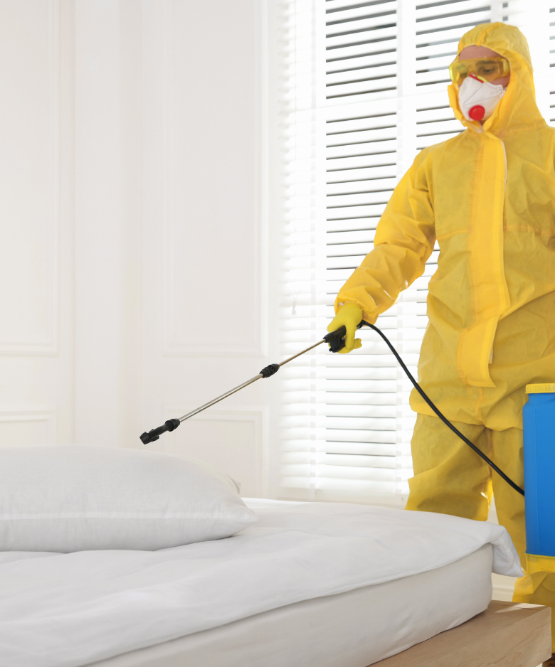 Professional Pest Control Team in Collinswood